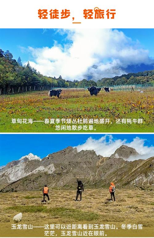 招徕,委托社为福建东南游国际旅行社,具体的旅游服务和操作由